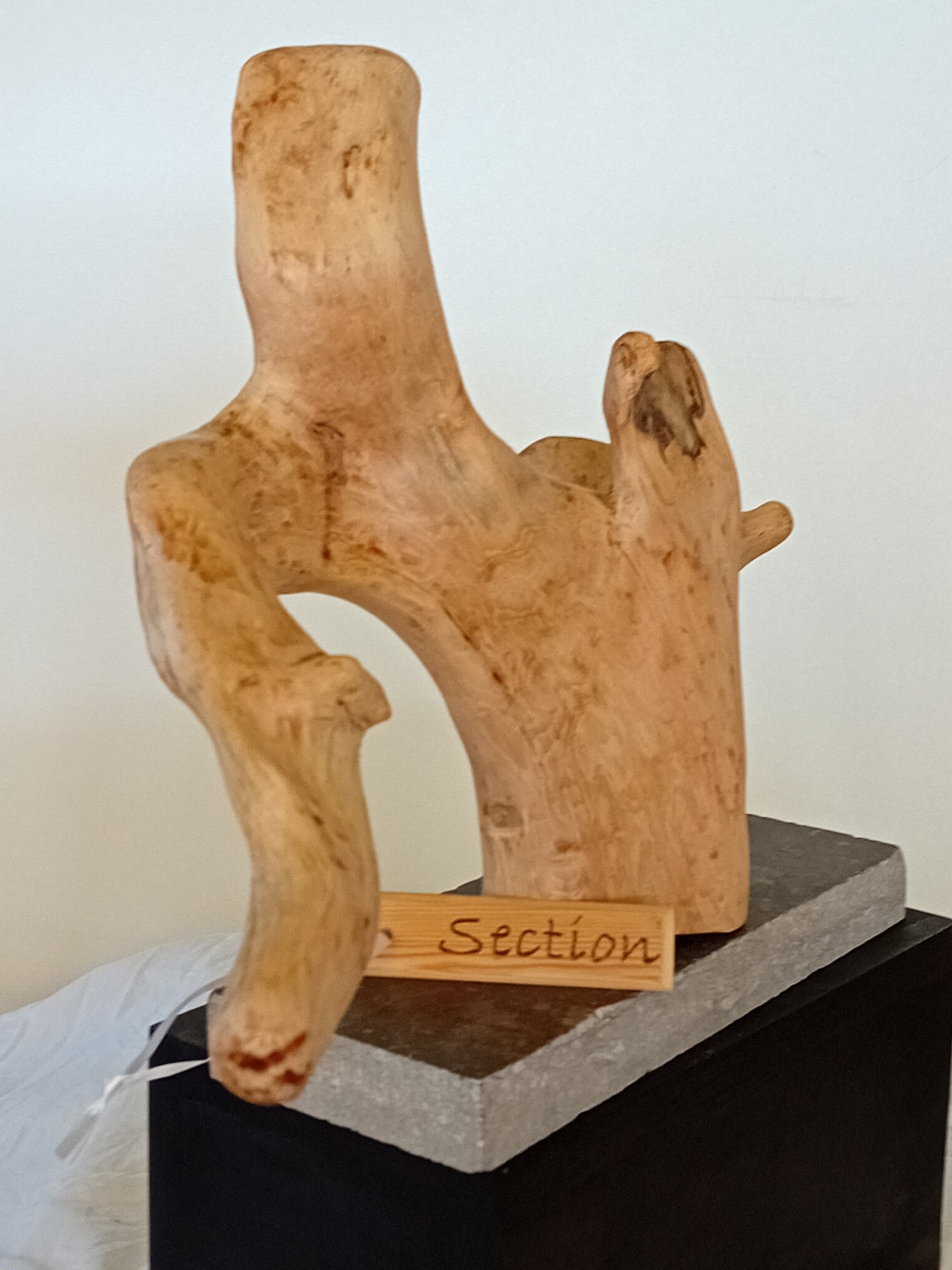 “Section”